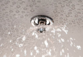 Professional Sprinkler System Service Company Carteret NJ